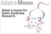 Adopt-A-Mouse Campaign.