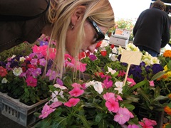marketflowers