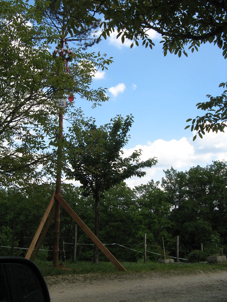 [maypole_three[2].jpg]