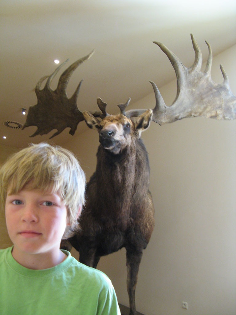 [JackStag[3].jpg]