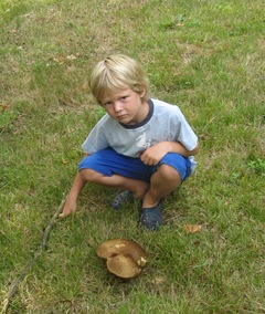 Henrysfind