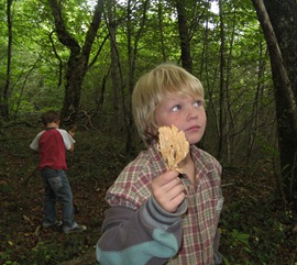 HenrysFind