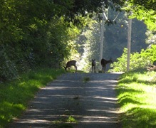 OnTheHunt