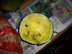 100_7998.JPG
