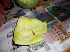 100_7999.JPG