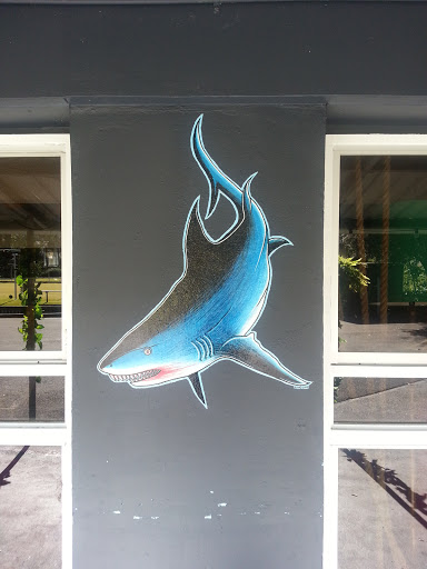 Shark Mural