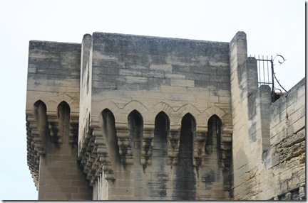 Pont du Guard and Avignon 023