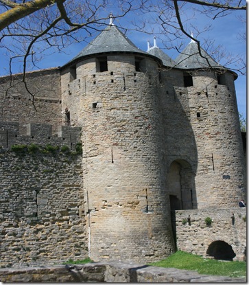 Carcassonne 100