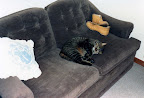 Fluffball &ndash; 