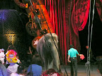 2008 Circus &ndash; 