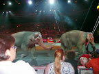 2008 Circus &ndash; 