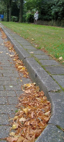 [Arnhem Autumn Coming 3[4].jpg]