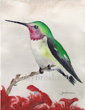 Ruby-throated Hummingbird Limited Edition Print