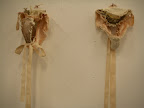 Ballet Series, 2007.