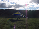 P8130018.JPG