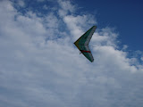 P8250061.JPG