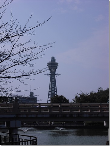 DSCF9511 (2)