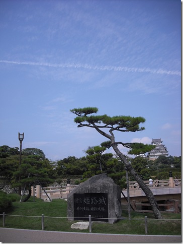 DSCF9197