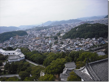 DSCF9236