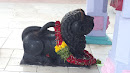 Nandi Statue