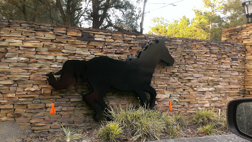 Pony at Bluegrass Estates