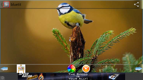 How to mod Blue Tit lastet apk for android