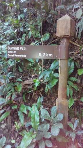 Summit Path