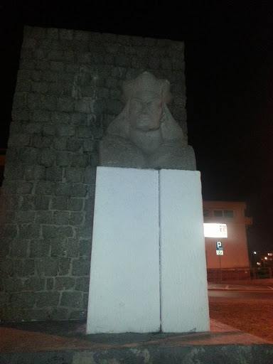 Pomnik Jagiellończyka