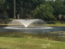 Ibis Fountain