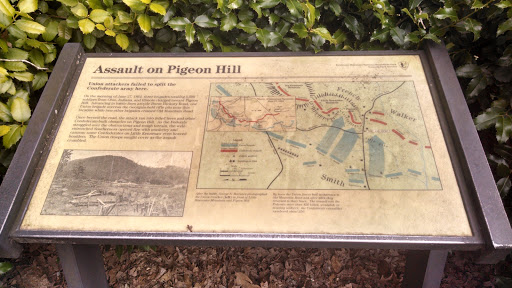 Assault on Pigeon Hill