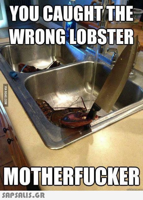YOU CAUGHT THE WRONG LOBSTER MOTHERFUCKER 