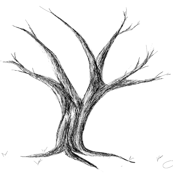 Tree » drawings » SketchPort