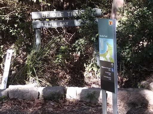Bridle Trail Walk