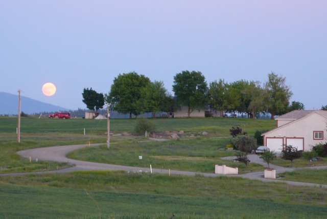 [P19405372.jpg]