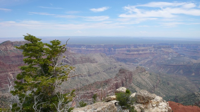 [P21305732.jpg]