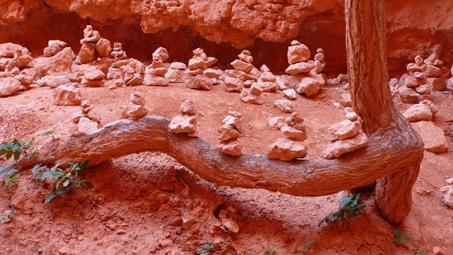 [P21006902.jpg]