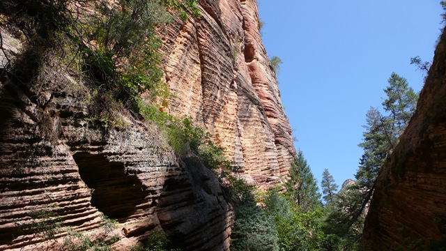 [P21502522.jpg]
