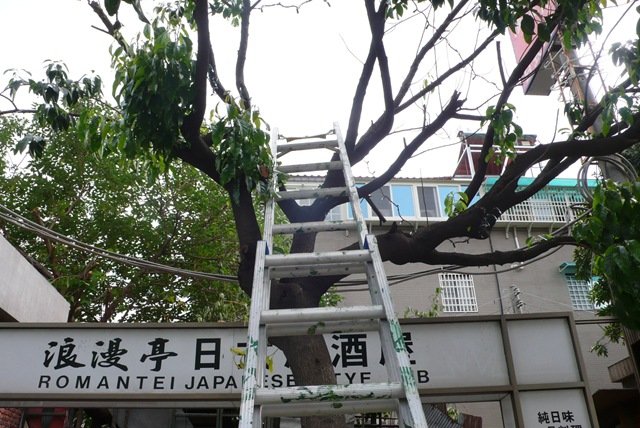 [P22303892.jpg]
