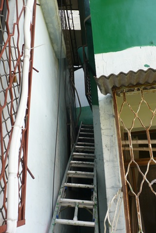 [P22309872.jpg]