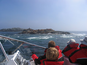 Eagle Wing Tours guests viewing sea lions at Race Rocks ecological reserve