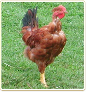 [image3.png]