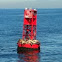 California Sea Lion
