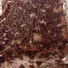 Magic Cookie Bars