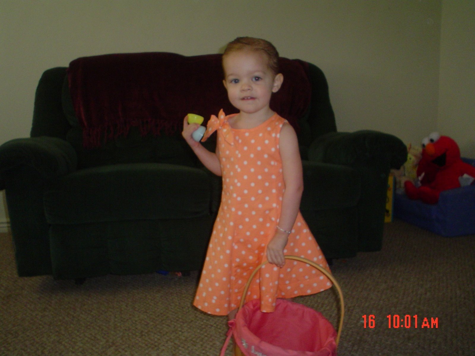 [DSC000392.jpg]