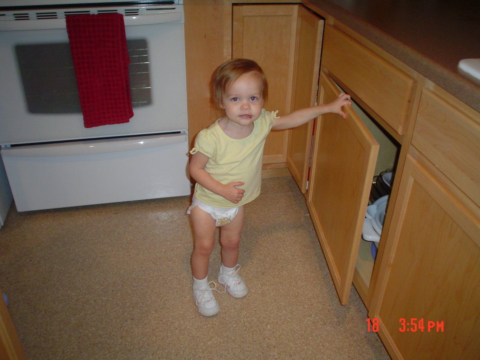 [DSC000492.jpg]