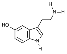[230px-Serotonin_svg[6].png]