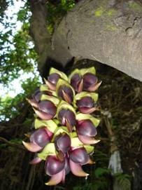 [clip_image061[3].jpg]