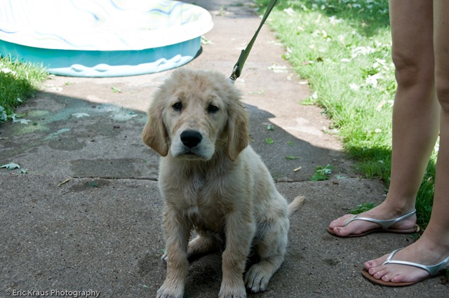 [20080601_59[3].jpg]
