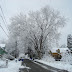 DSC00414.JPG