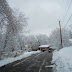 DSC00415.JPG